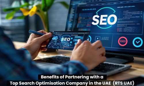 Benefits of Partnering with a Top Search Optimisation Company in the UAE